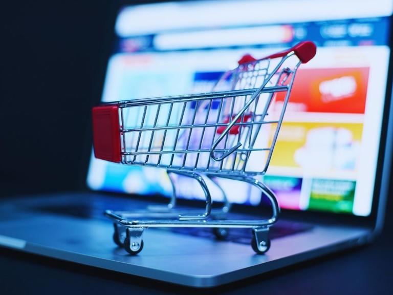 México, penúltimo de la OCDE en eCommerce, ¿quiénes son los primeros lugares? © Excélsior