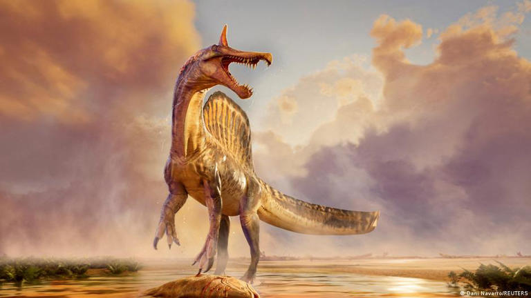 El Spinosaurus mirabilis habría cazado peces grandes a las orillas de los ríos y no habría vivido totalmente en el agua. © Dani Navarro/REUTERS